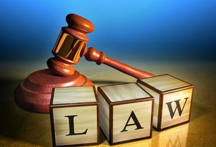 222只白胸翡翠鸟惨遭剖腹取脏 残忍猎杀背后，法律与生态之殇